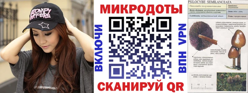 Галлюциногенные грибы GOLDEN TEACHER  Купить закладки  Курчатов 